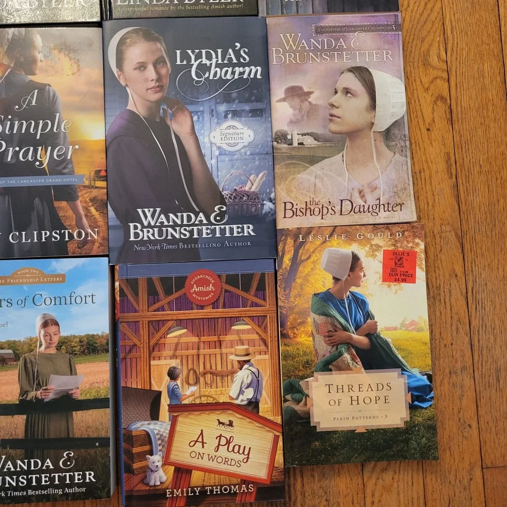Wanda Brunstetter Linda Byler Fisher‎ 16 Amish Fiction Book Lot Gift Christian